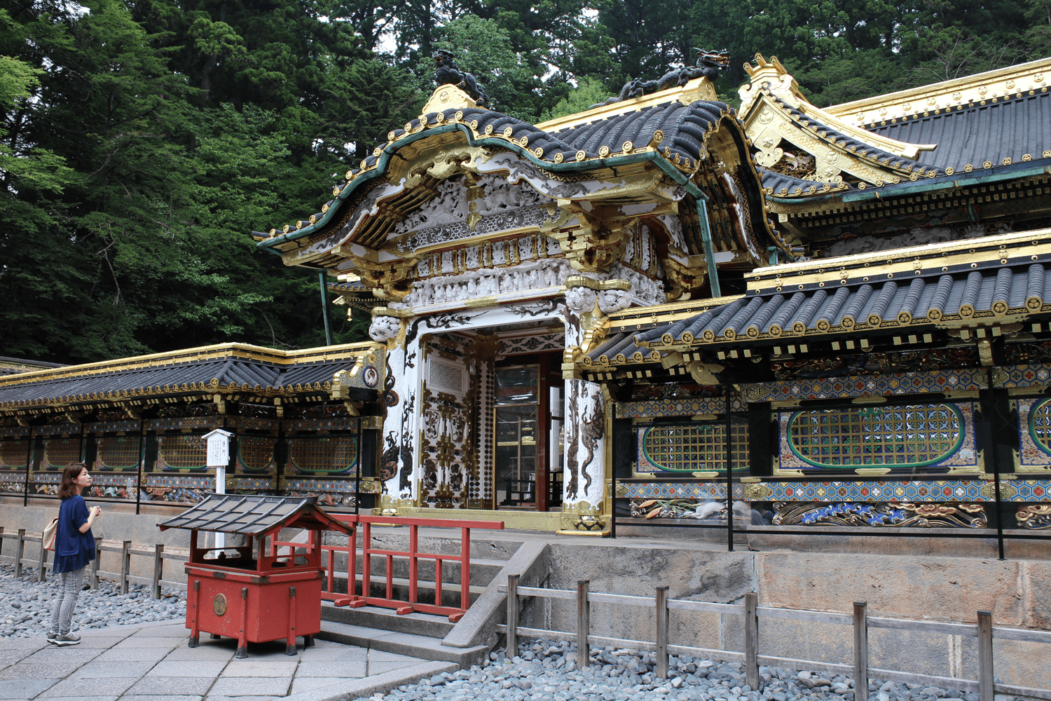 nikko3