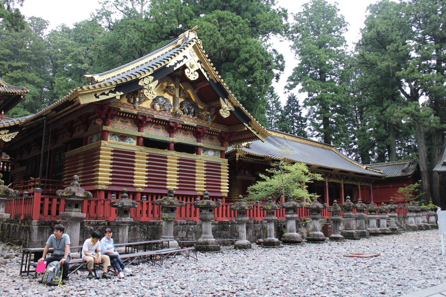 nikko7
