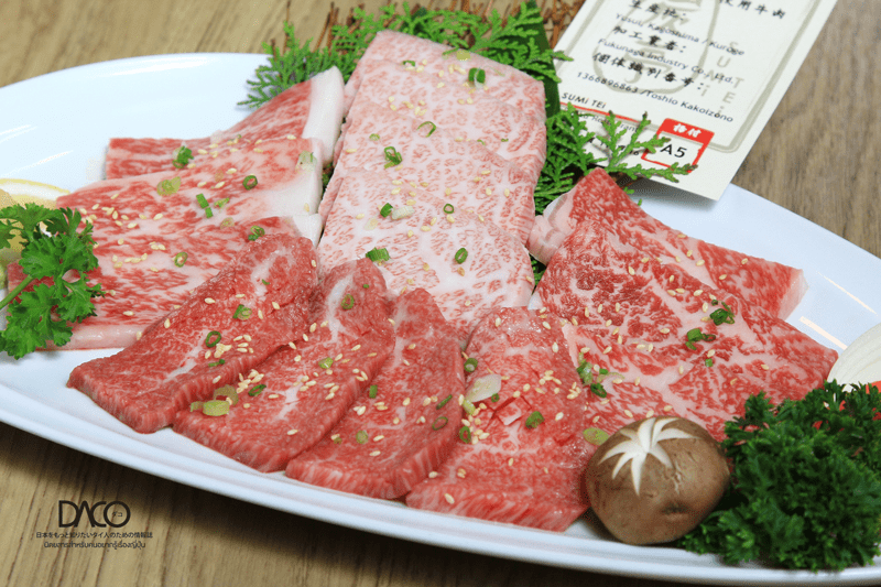 Wagyu23