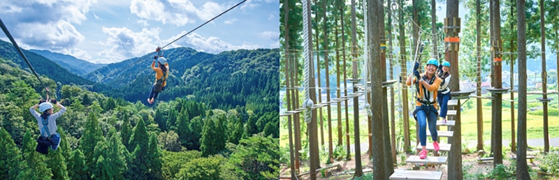 Tree Picnic Adventure IKEDA