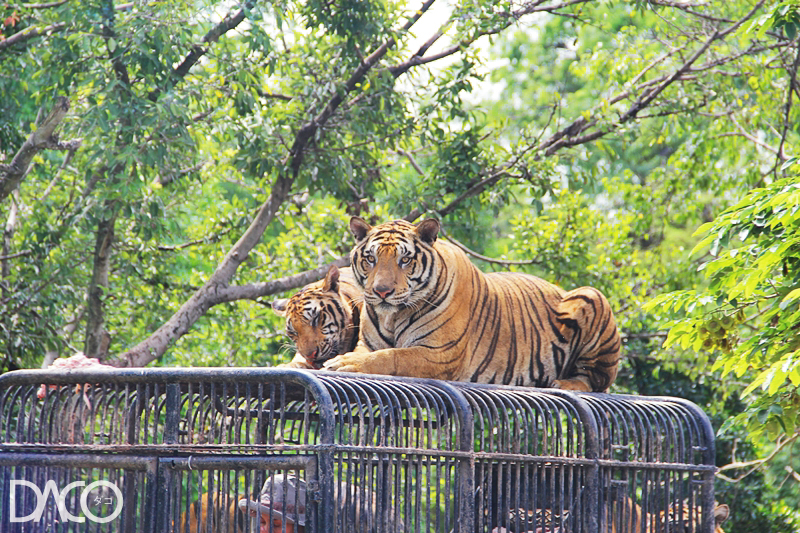 Safari World ซาฟารีเวิลด์