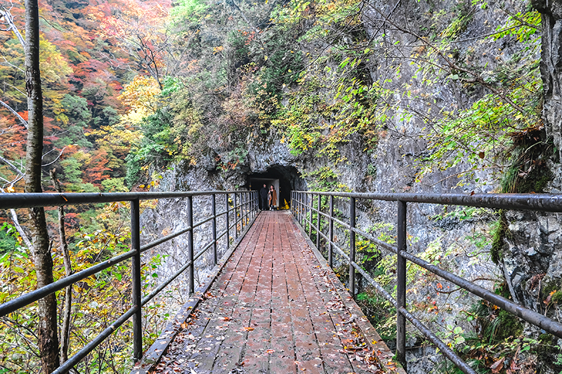 ทริปตามล่าใบไม้แดงที่โทโฮคุ (Tohoku) Dakigaeri Valley