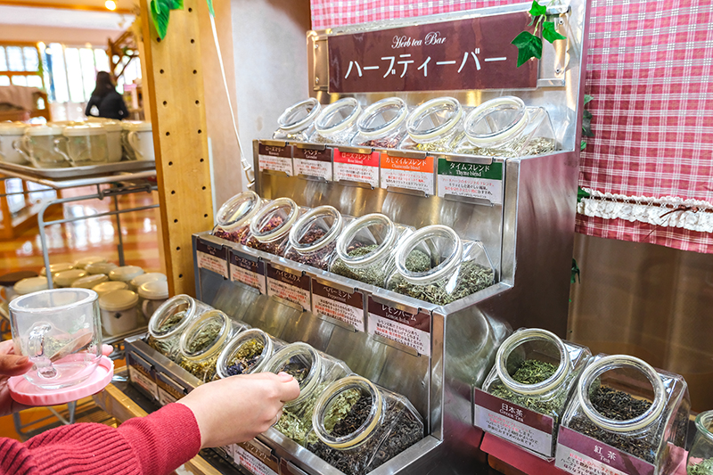 ทริปตามล่าใบไม้แดงที่โทโฮคุ (Tohoku) Lake Tazawa Herb Garden 