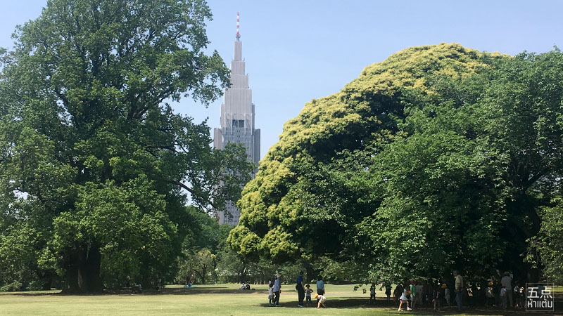 Shinjuku Gyoen ชมธรรมชาติและดอกไม้ 4 ฤดูใจกลางชินจูกุ