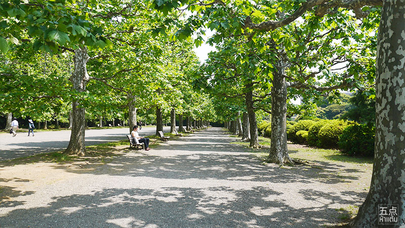 Shinjuku Gyoen ชมธรรมชาติและดอกไม้ 4 ฤดูใจกลางชินจูกุ