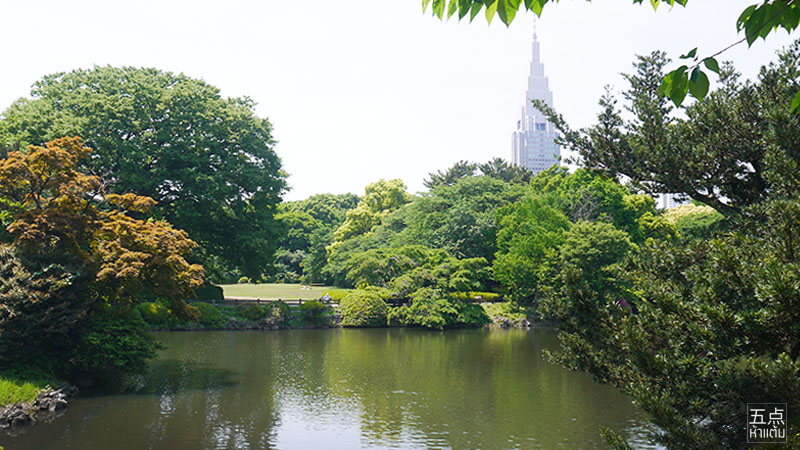 Shinjuku Gyoen ชมธรรมชาติและดอกไม้ 4 ฤดูใจกลางชินจูกุ