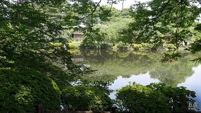Shinjuku Gyoen ชมธรรมชาติและดอกไม้ 4 ฤดูใจกลางชินจูกุ