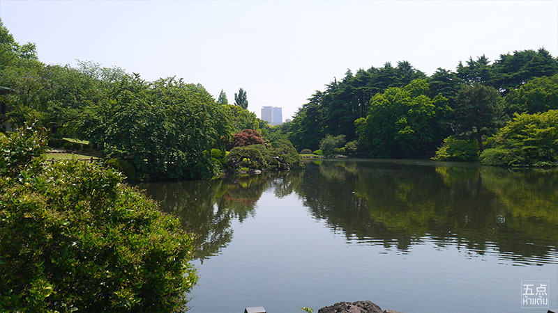 Shinjuku Gyoen ชมธรรมชาติและดอกไม้ 4 ฤดูใจกลางชินจูกุ