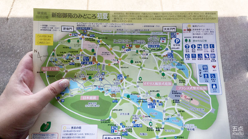 Shinjuku Gyoen ชมธรรมชาติและดอกไม้ 4 ฤดูใจกลางชินจูกุ