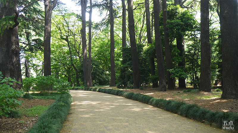 Shinjuku Gyoen ชมธรรมชาติและดอกไม้ 4 ฤดูใจกลางชินจูกุ