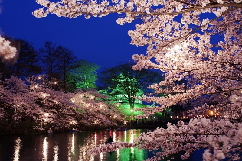 Spring in Tohoku : ใบไม้ผลิที่โทโฮคุ