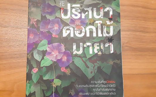 INSIDE A BOOK : 5 ผลงานน่าอ่านของฮิงาชิโนะ เคโงะ (Higashino Keigo)