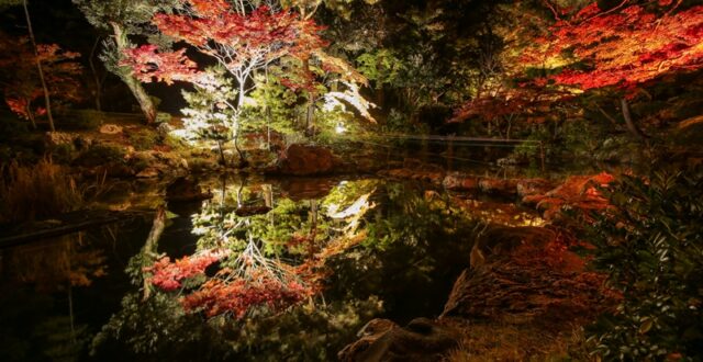 สวนยาฮิโกะ (Yahiko Park) จังหวัดนีกาตะ