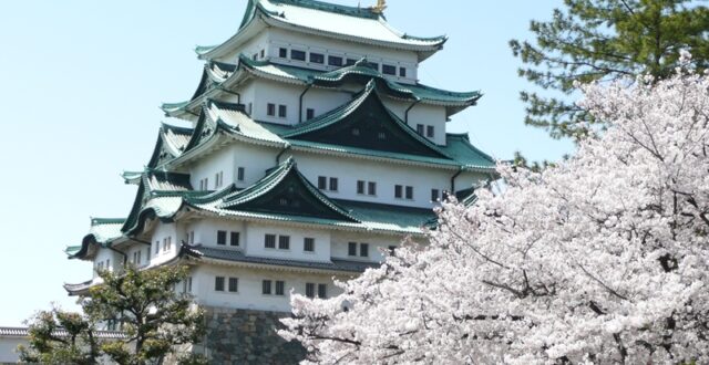 ซากุระ ณ ปราสาทนาโกย่า (Nagoya-Jo no Sakura)