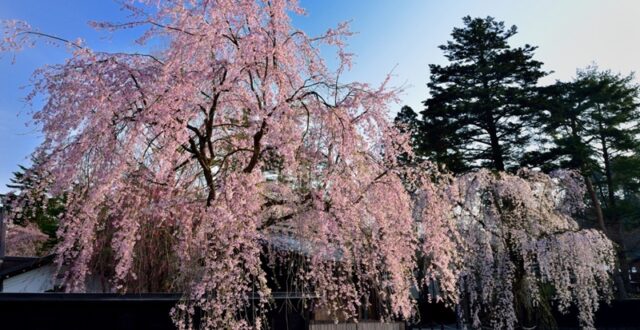 PARK KAKUNODATE SAMURAI DISTRICT