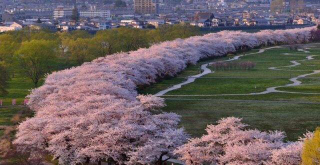 8 Bucket list to do before die - KITAKAMI TENSHOCHI PARK