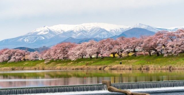 8 Bucket list to do before die - HITOME SENBON ZAKURA