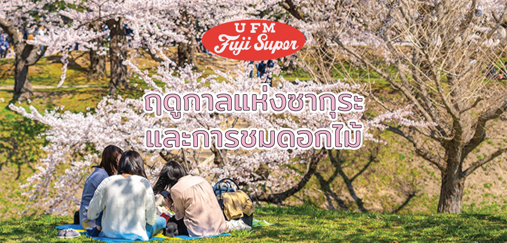 ฤดูกาลแห่งซากุระและการชมดอกไม้ (Sakura and Hanami)
