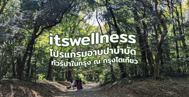 itswellness โปรแกรมอาบป่าบำบัด ทัวร์ป่าในกรุง ณ กรุงโตเกียว