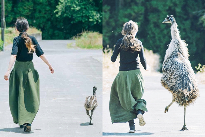 "ใช้ชีวิตกับอีมูจัง" (エミューちゃんと二人暮らし, Living with Emu-chan) 