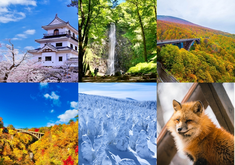 TOHOKU JAPAN สวย ฟิน อินทุกฤดูกาล อีเว้นท์เพื่อคนอยากเที่ยวโทโฮคุ