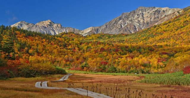 หมู่บ้านโอตาริ (Otari Village) จังหวัดนากาโนะ กับทัศนียภาพสวยงามของเทือกเขาแอลป์ตอนเหนือ