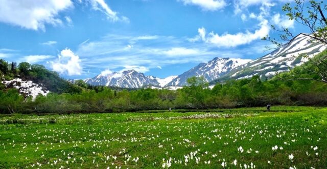 หมู่บ้านโอตาริ (Otari Village) จังหวัดนากาโนะ กับทัศนียภาพสวยงามของเทือกเขาแอลป์ตอนเหนือ
