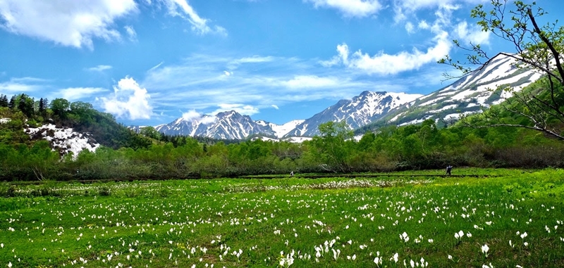 หมู่บ้านโอตาริ (Otari Village) จังหวัดนากาโนะ กับทัศนียภาพสวยงามของเทือกเขาแอลป์ตอนเหนือ