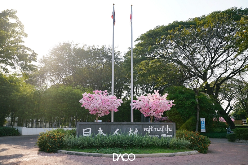 HANAMI กลางกรุงเก่า ชวนเดินชมซากุระที่ “หมู่บ้านญี่ปุ่น อยุธยา”