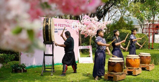 HANAMI กลางกรุงเก่า ชวนเดินชมซากุระที่ “หมู่บ้านญี่ปุ่น อยุธยา”