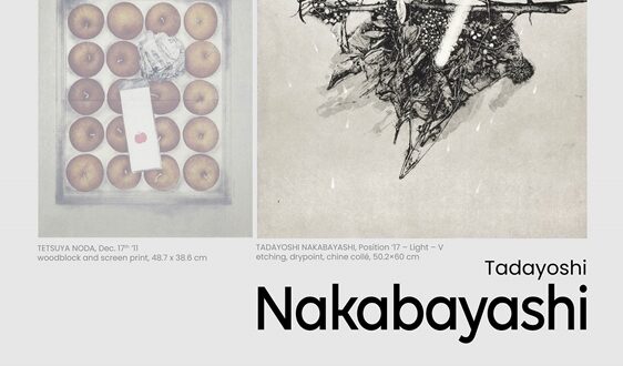 Tetsuya NODA & Tadayoshi NAKABAYASHI: DIARY FROM GROUND TO LIGHT